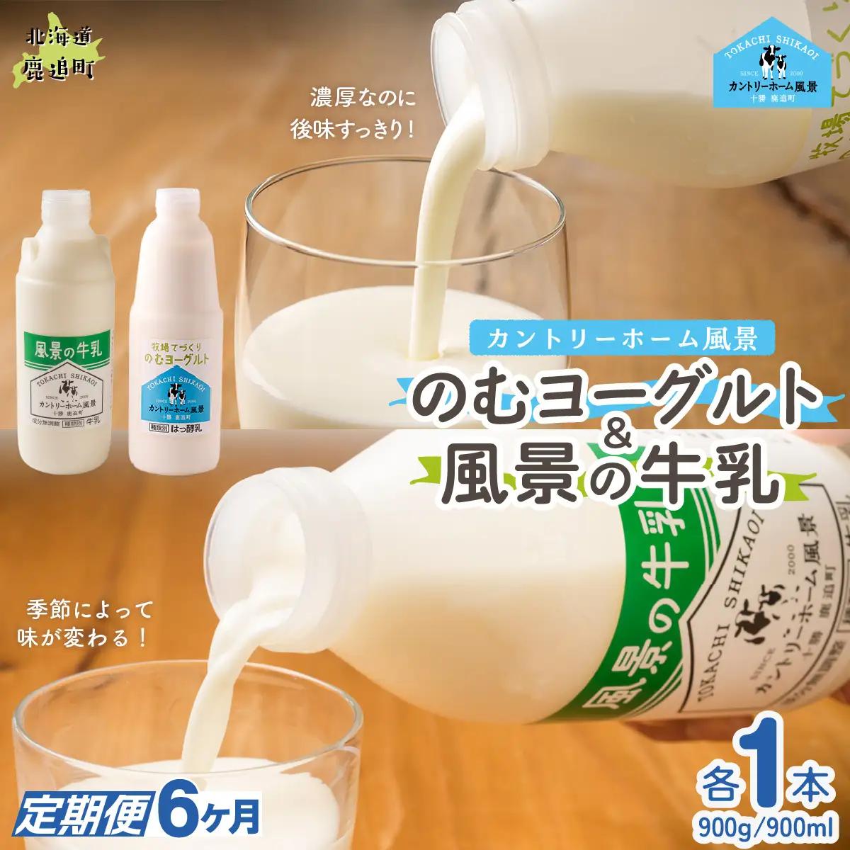 【定期6ヶ月】のむヨーグルト900g 風景の牛乳900ml 各1本 SKB093