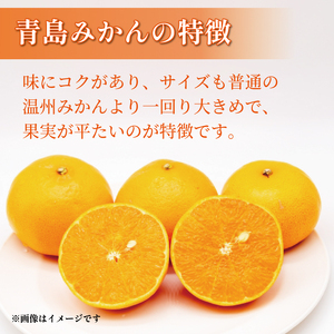 みかん【2027年1月上旬から発送】 訳あり 青島 みかん 5kg