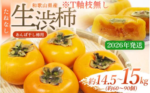 生渋柿たね無 あんぽ柿用 T軸枝無 約14.5～15kg　約60～90個【2026年10月中旬～11月上旬ごろ順次発送】【ART15】