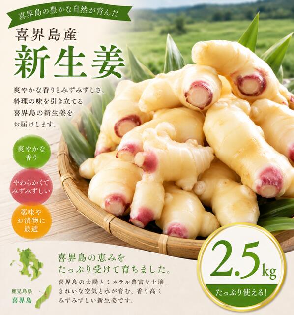 【ふるさと納税】喜界島産『新生姜』2.5Kg(250g×10パック)【2026年8月頃から発送】