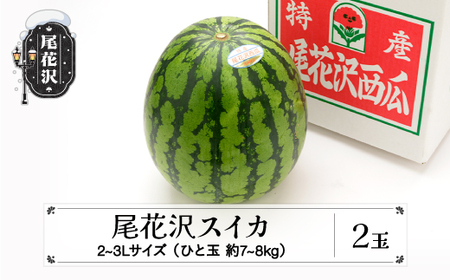 先行予約 尾花沢スイカ 2~3Lサイズ(約7~8kg)×2玉 7月下旬~8月中旬頃発送 令和7年産 2025年産 農産センター すいか 西瓜 ※沖縄・離島への配送不可 ns-su23x2