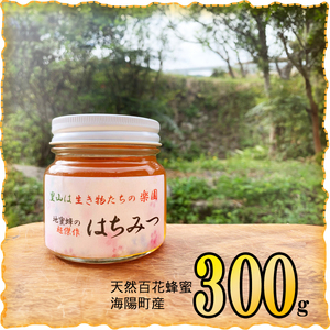 天然百花蜂蜜 300g ハチミツ はちみつ honey ニホンミツバチ 天然の花