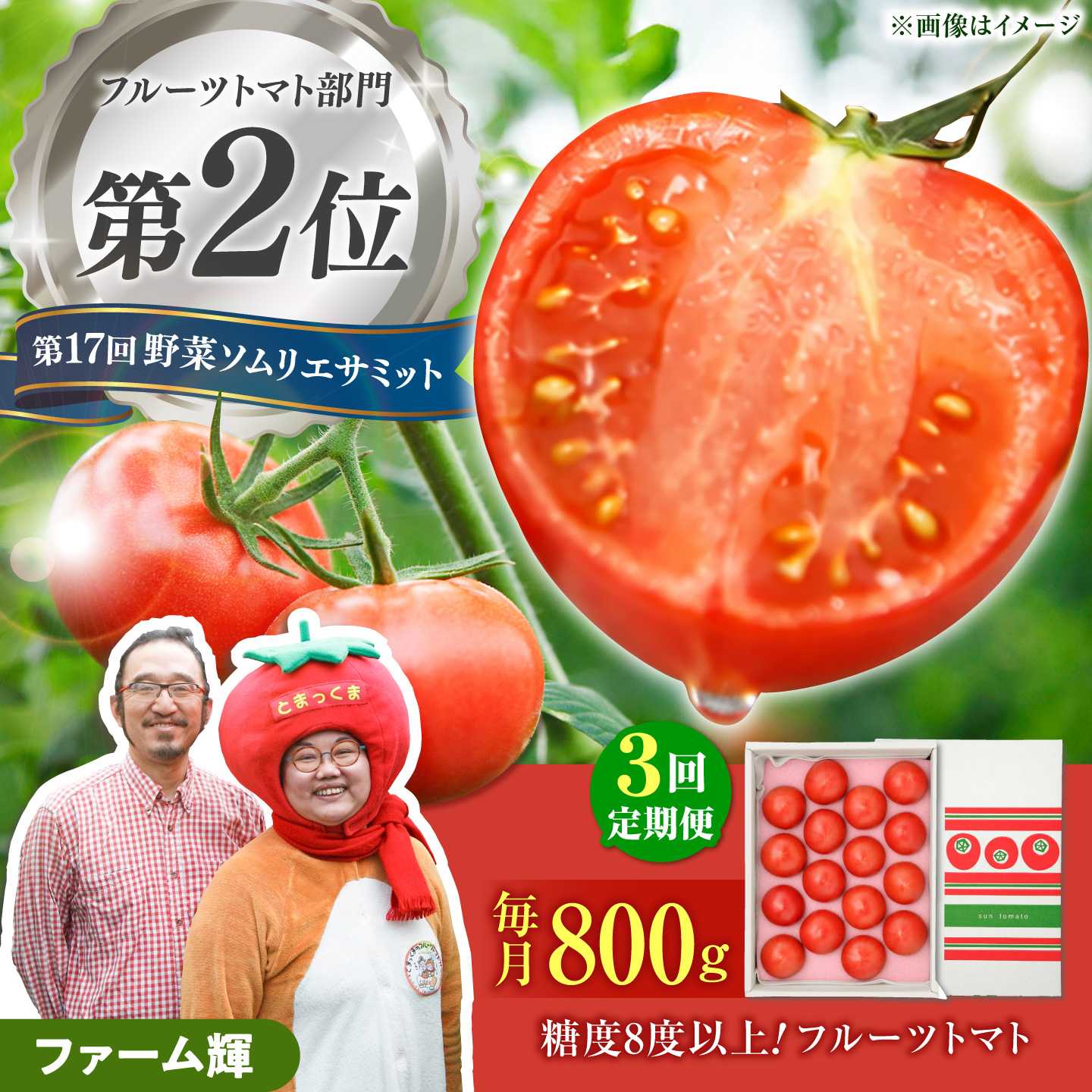 【ふるさと納税】【先行予約】【全3回定期便】全国第2位受賞 糖度8度以上！濃厚フルーツトマト 約800g×3回 旬の美味しさを毎月楽しむ高知県土佐市の味〈2027年1月下旬から配送開始〉先行予約 トマト 定期便 3ヶ月 とまと トマト とまと 高知県土佐市/ファーム輝[BQBM005]