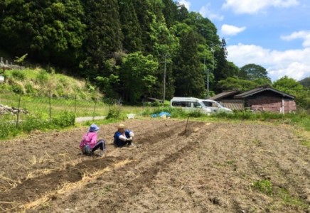 雑穀　たかきび・もちきび　各200g