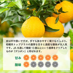 【2027年先行予約】デコポン 秀品 18玉～24玉 和歌山県有田産_U6300
