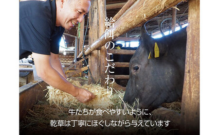 京都もり牛 食べ比べ スライス 1kg 赤身・霜降