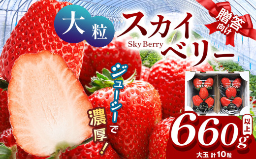 【12月発送予定】 希少な大粒 スカイベリー いちご ギフト｜5粒×2 10粒 12月 贈答品 プレゼント 新鮮 完熟 いちご 旬 スカイベリー 苺 ストロベリー 高級 産地直送 大容量 人気 高評価 真岡市 栃木県 送料無料