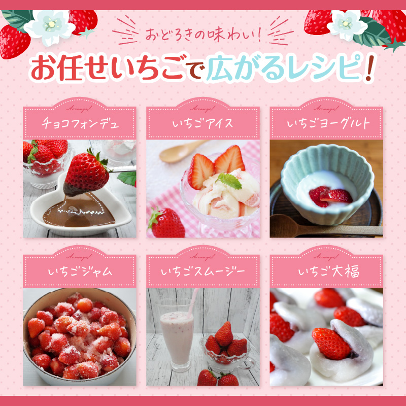 こだわり苺 品種お任せ小箱8粒~10粒×2パック(1月発送)( いちご 苺 イチゴ 紅ほっぺ かおり野 さがほのか 恋みのり 果物 フルーツ )【B0-236-01M】