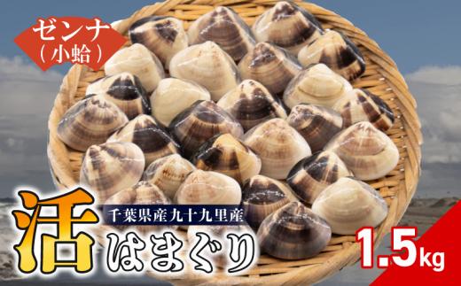 九十九里産 活はまぐりゼンナ 小粒 選べる 約1.5kg 活 はまぐり 蛤 天然 砂抜き 冷蔵 九十九里産 魚介 魚貝 魚介類 海鮮 貝 貝類 出汁 だし 味噌汁 酒蒸し グラタン 九十九里浜 お祝い 祝い 贅沢 人気 おすすめ 贈答 ギフト お取り寄せ 株式会社丸六 旭市 千葉県 mrk007