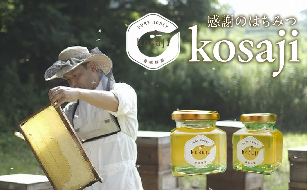 
            ≪お届け時期が選べる≫ 豊橋蜂蜜【kosaji】春はちみつ150g＋100ｇ 瓶入り ギフトセット 贈答 プレゼント お歳暮 お中元 おススメ おすすめ 高級 貴重 希少 蜂蜜 はちみつ 国産 常温 はちみつ ハチミツ 蜂蜜 ハニー 愛知県 豊橋市
          