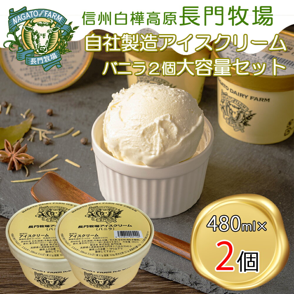 【ふるさと納税】長門牧場　自社製造アイスクリーム　贅沢大サイズセットバニラ2個　人気スイーツ　濃厚ミルク　直送　牛乳　生乳　国産　夏ギフト　長野県　贈答品　お土産　お中元　お歳暮　クリスマス
