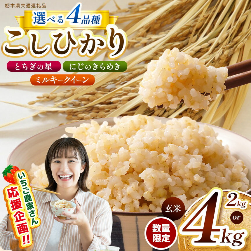 【ふるさと納税】 楽天限定 楽天スーパーセール限定 選べる 新米 コシヒカリ こしひかり とちぎの星 にじのきらめき ミルキークイーン 訳あり 2kg 4kg 真空パック | 数量限定 栃木県産 先行予約 玄米 米 こめ コメ ごはん いちご スーパーセール 那珂川町 共通返礼品 栃木県