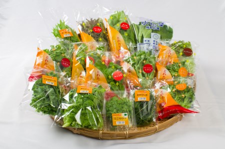 産地直送 採れたて 野菜 旬 15袋 セット | 108M