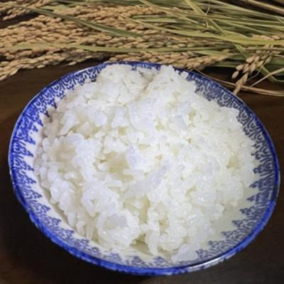 ふるさと納税 多古町 【毎月定期便】たこまいらいふ萩原農場の多古米コシヒカリ(精米)5kg全6回 |  | 01