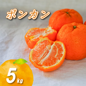 【2026年2月中旬から順次発送】低農薬栽培ポンカン 5kg | 数量選択可 ポンカン みかん 数量限定 みかん 愛媛県産 みかん ぽんかん 松山市 みかん 中島 みかん ぽんかん 低農薬 みかん 蜜柑 ポンカン みかん 愛媛県 松山市【NO026】