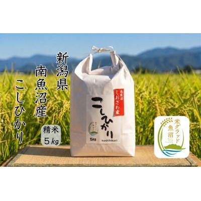 ふるさと納税 南魚沼市 新潟県南魚沼市の豊かな自然が育んだ、極上のコシヒカリ　5kg