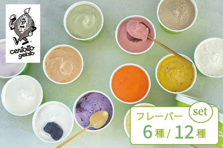 『チェントット』の「ジェラート12個セット（レギュラー6味 + 6味）」信濃町の人気店 ｜ 地産野菜や果物を使ったジェラート【長野県信濃町ふるさと納税】