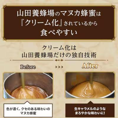 ふるさと納税 津山市 【毎月定期便】マヌカ蜂蜜(クリームタイプ)MG250+(22178)全3回 |  | 01