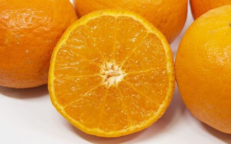 【訳あり】 森本農園の手選別 ポンカン約2kg 和歌山県産 サイズ混合 【2026年1月上旬～2月上旬頃に順次発送】【mrmt013】