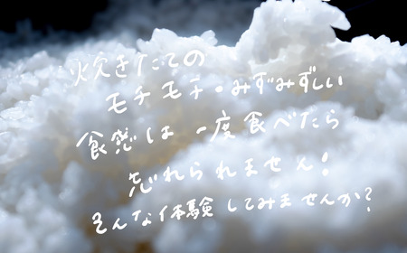 令和7年産一等米 ミルキークイーン 精米5kg 米