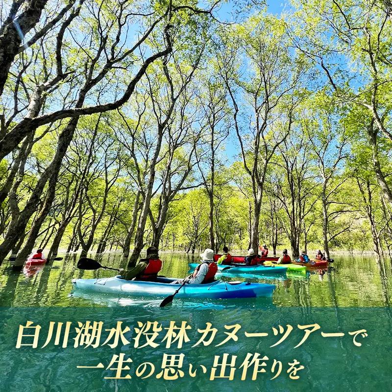 絶景 水没林カヌープレミアムツアー（10名様分）癒しの自然満喫プレミアムアクティビティ - 体験型 カヌー体験 レジャー カヌー 自然 白川湖 水没林 体験チケット アクティビティ フォトジェニックス