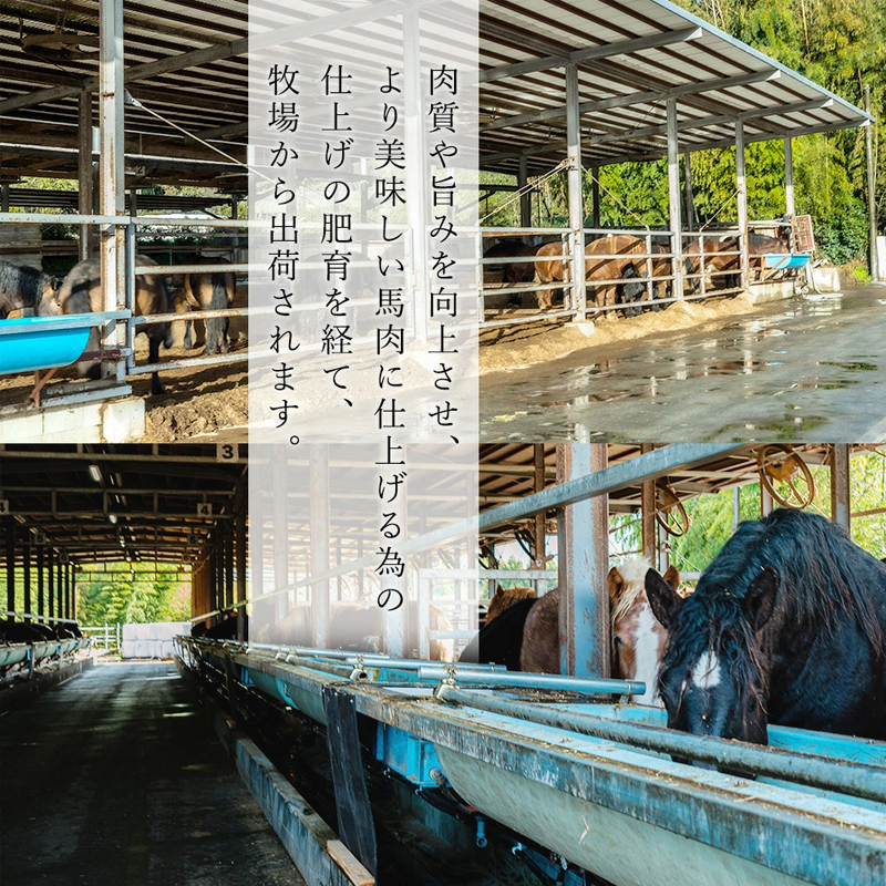 【阿蘇牧場】小国馬 霜降り馬刺し200g（専用醤油付き 150ml×1本）