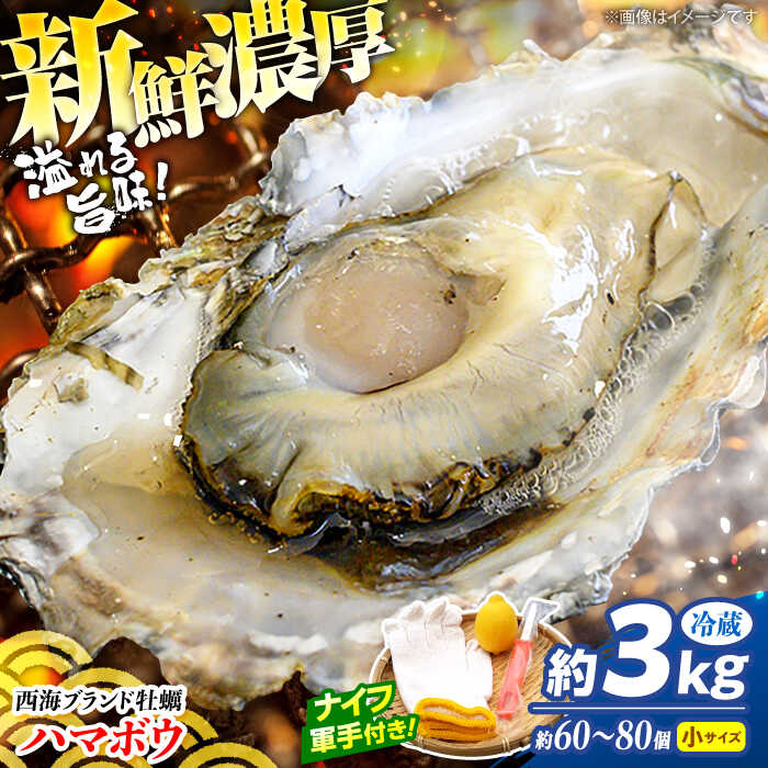 【ふるさと納税】【先行予約】【2026年2月よりお届け】【 着日指定可 】 西海ブランド 牡蠣 「 ハマボウ 」 約3kg（60～80個）（小サイズ）＜ハマフジ水産＞[CES010] かき 牡蠣 カキ 海鮮 海産物 貝 3kg BBQ 鍋 贈答 ギフト プレゼント 着日指定 日時指定