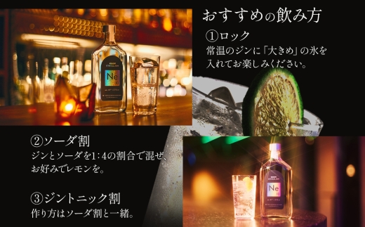 歌舞伎町エシカルジン 「Ne10（エヌイーテン）」 375ml 10本