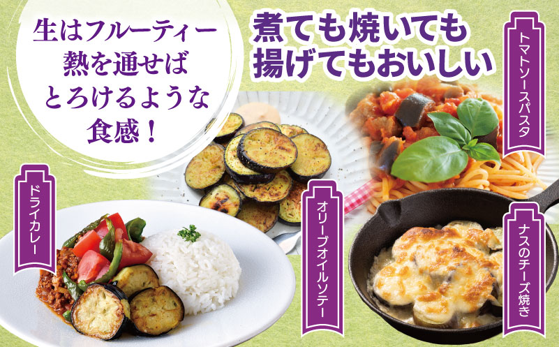 【先行予約】朝採り直送 徳用水なす 15個 訳あり 規格外 099H4539