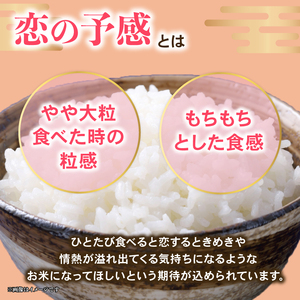 【令和7年産】減農薬米 彦根産 恋の予感 白米 5kg ［shika01_X1] 白米