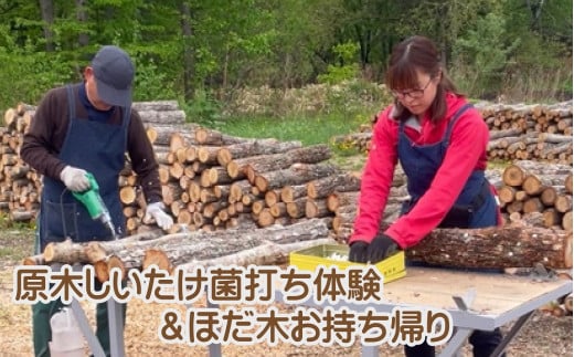 AL-3401 原木シイタケの菌打ち体験＆自分で菌打ちしたホダ木お持ち帰り