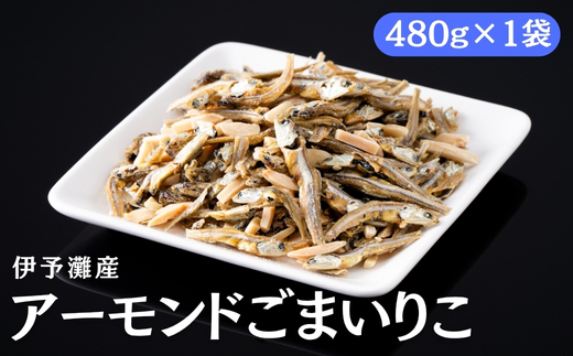 アーモンド小魚 480g×1袋 アーモンドフィッシュ アーモンドごまいりこ カルシウム 給食 オカベ 伊予灘産 伊予市 愛媛｜A108