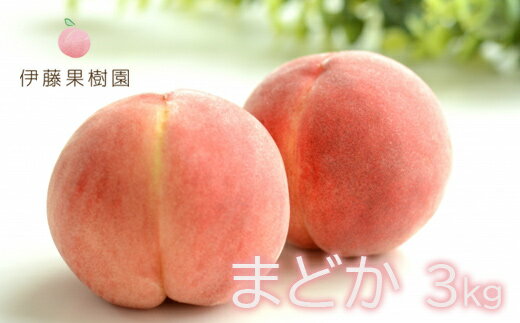 【ふるさと納税】No.1977 もも「まどか」約3kg【2025年発送】