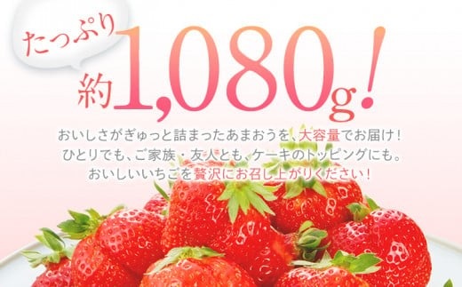 【2026年2月～3月順次発送】あまおう 合計約1,080g 約270g×4パック