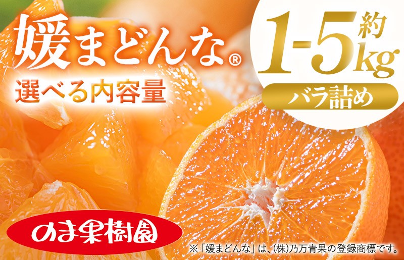 
                  【先行予約】媛まどんな（1～5kg）【K003730】 媛まどんな まどんな 果物ふるさと 愛媛 まどんな みかん 高級 柑橘 柑橘類 愛媛県 果物 フルーツ 甘い 乃万青果 のま果樹園 愛媛県ふるさと納税
                