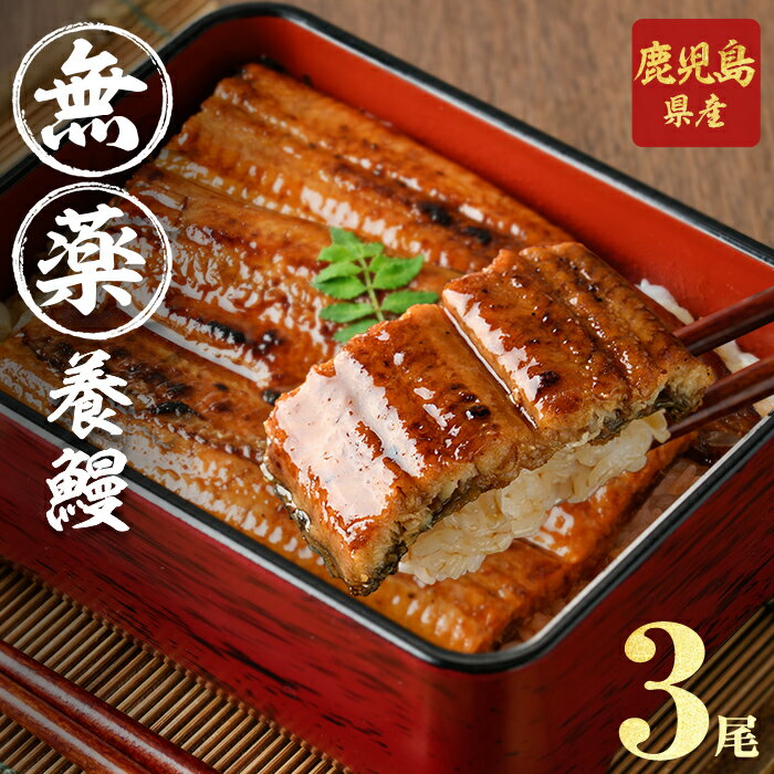 【ふるさと納税】【無薬養鰻】 鹿児島産 山田のうなぎ ＜計480g以上＞(160g以上×3尾 肝串セット ※ポータル限定) うなぎ 鰻 ウナギ 無薬 養鰻 無投薬 国産 九州産 蒲焼き かばやき 冷凍 うな重 ランキング 人気【志布志市制20周年記念】【山田水産】a6-062