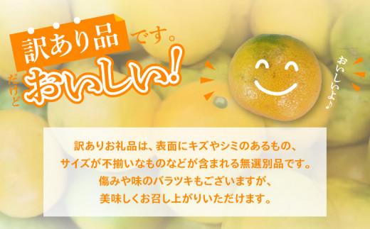 【訳あり】太陽たっぷり浴びた　瀬戸内温州みかん　約10kg【2024-10月上旬～2025-1月中旬配送】