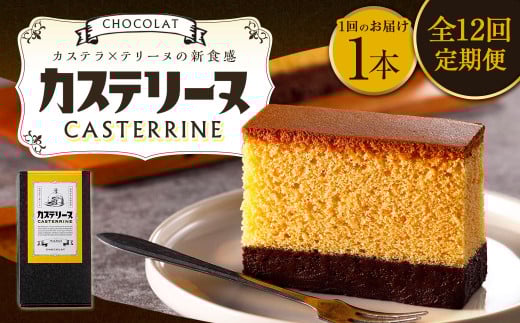 【全12回定期便】長崎カステリーヌショコラ 1本 合計12本 ／ スイーツ デザート カステラ おかし 菓子 おやつ チョコレート ショコラ テリーヌ ご当地スイーツ かすてら テリーヌ 長崎県 長崎市