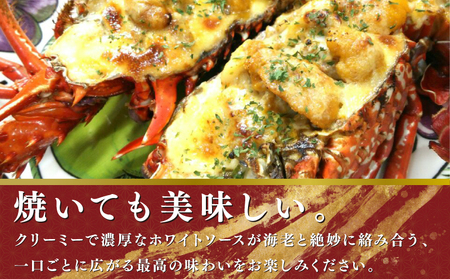活〆 冷凍 伊勢海老 2匹（1匹 約300～600g） 計 約1kg 伊勢海老 伊勢海老 伊勢海老 伊勢海老 伊勢海老 治吉水産