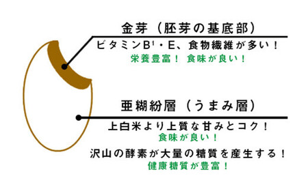 【令和7年産】ほたるの灯り 白米 6.5kg 【2025年9月下旬より順次発送開始】 ブレンド米 お米 白米 米 おすすめ 人気 ランキング