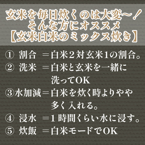 【2024年9月より順次発送】令和6年産 新米 玄米 コシヒカリ 5kg 栽培期間中無農薬 ふるさと納税 新生活 四国 徳島 小松島 新生活 おいしい お米 米 こめ おこめ 国産 ごはん ご飯 ゴハ