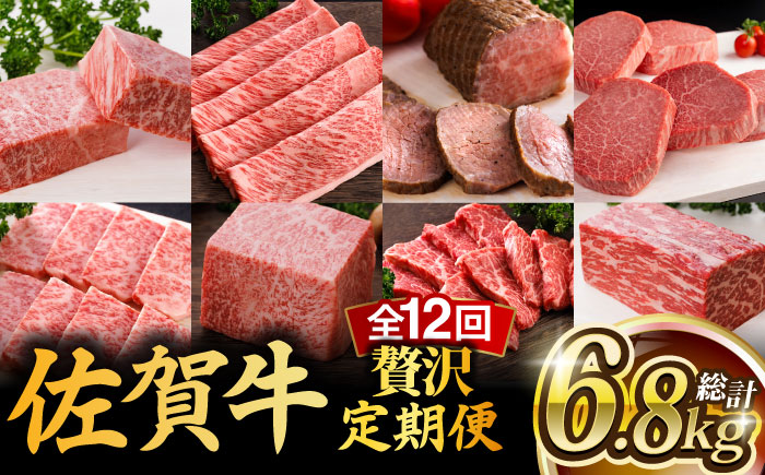 【全12回】 A5ランク 佐賀牛 霜降り 食べ比べ 定期便 約2-3人前 総計6.8kg /焼肉どすこい [UCC004] 最高級 牛肉 肉 ステーキ スライス ローストビーフ 焼肉