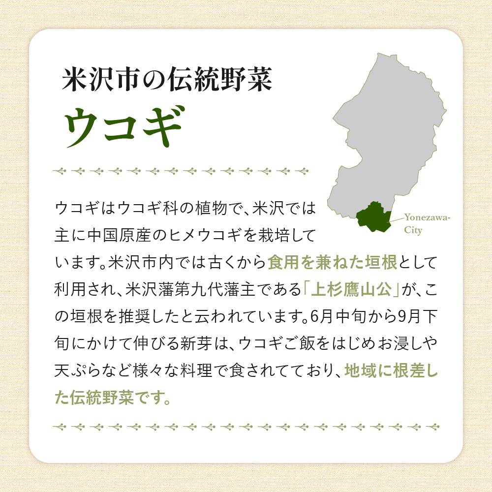Ukogi Herb Tea(ウコギハーブティー)2種 Aセット ウコギ100% カモミールブレンド 各10個 計20個入り ティーバッグ