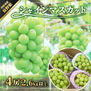 【ふるさと納税】長野県　中野市産　シャインマスカット4房(2.6kg以上)【配送不可地域：離島・北海道・沖縄県】【1331118】