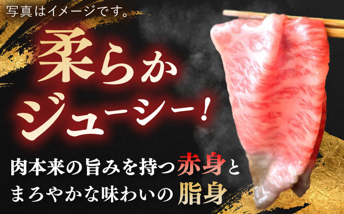 【全6回定期便】長崎和牛 ロースすきやき・しゃぶしゃぶ用約1200ｇ【萩原食肉産業有限会社】 [KAD211]
