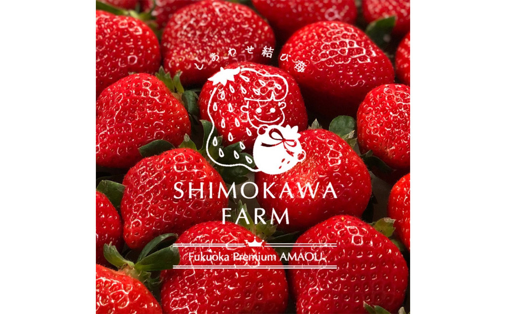 特別栽培の 濃厚 完熟 あまおう 約500g 約250g×2パック