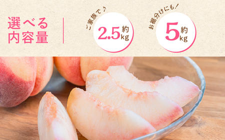 石巻産桃 5kg 豊橋 先行予約 もも