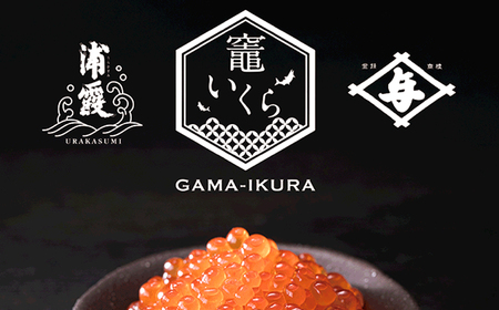 竈いくら（いくら醤油漬け）200g 寿司 いくら 醬油漬け 冷凍 天然 鮭いくら イクラ 塩竈市 宮城県 YAMATO ya00003-200