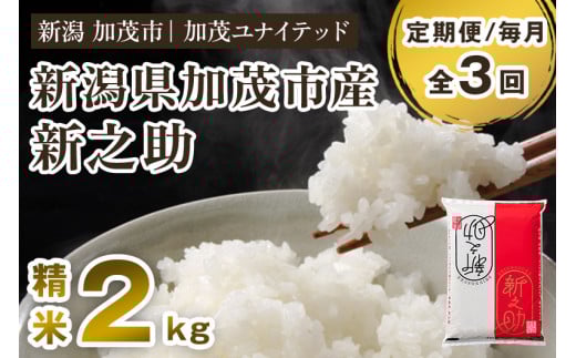 【令和7年産新米】【定期便3ヶ月毎月お届け】新潟県産 新之助 精米2kg《2kg×1袋》《順次発送》 新潟 ブランド米 加茂市 加茂ユナイテッド