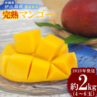 【ふるさと納税】【2025年発送】沖縄県伊江島産　農家直送「完熟マンゴー」約2kg(4～6玉) アーウィン 果物 甘い 夏 濃厚 ギフト Mango ランキング 完熟 お気に入り 収穫 人気 甘味 フルーツ 沖縄県 国産 食品 デザート 産地直送 送料無料